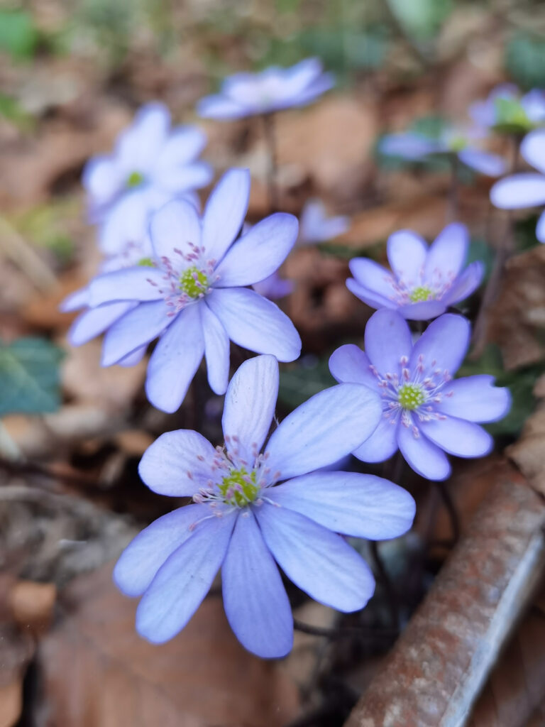 cleaned img 20220412 173159